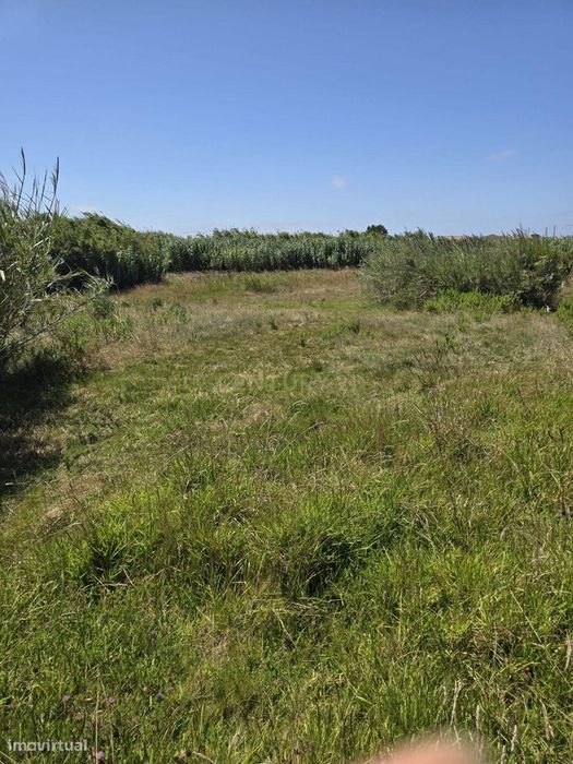 Terreno de 2.880 m² no Arneiro - Oportunidade no Coração do Oeste
