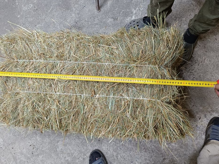 Продам Сіно в тюках