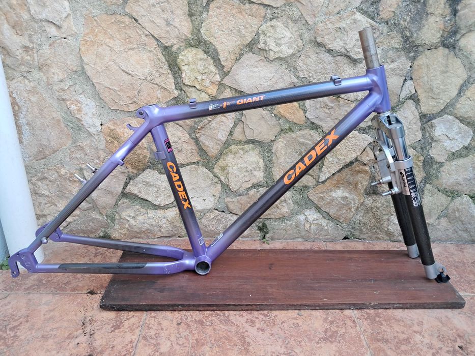 Quadro GIANT Cadex CFM 1