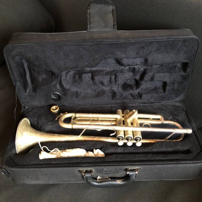 Музична інструмент