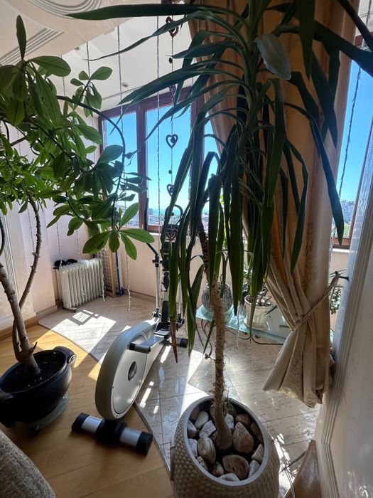 3-rooms apartment apartment by the address st. Kulikovo pole pl Oktyabrskoy revolyutsii pl (area 190 m²) - Atlanta.ua - photo 5