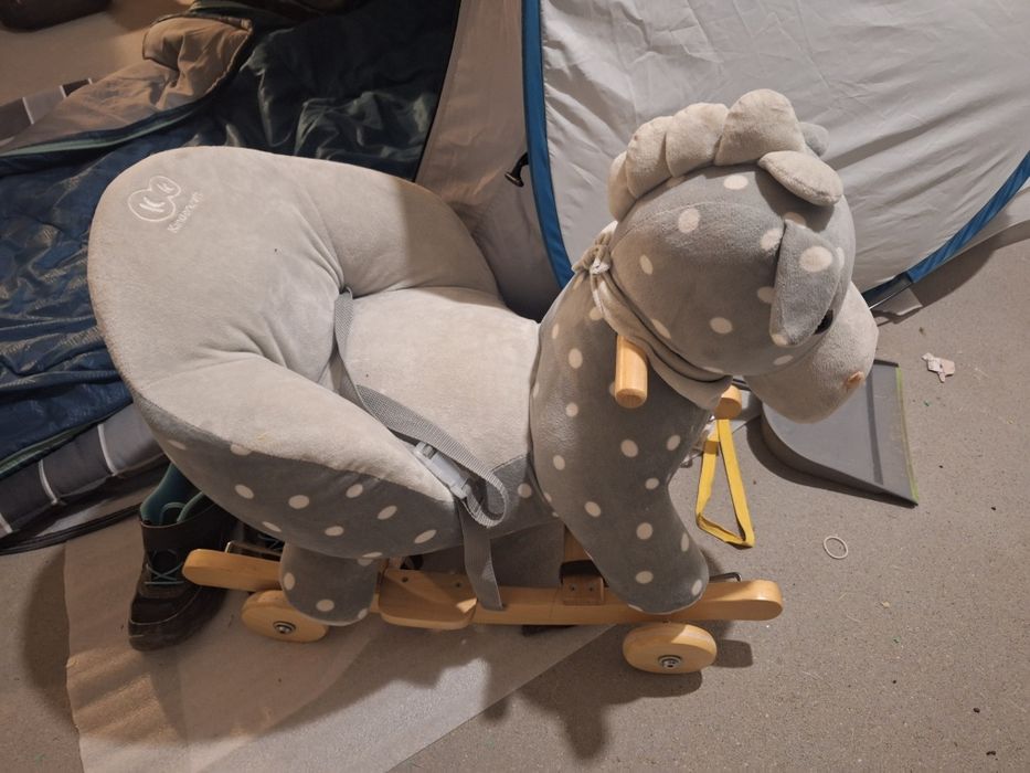 Konik bujaczek jezdzik