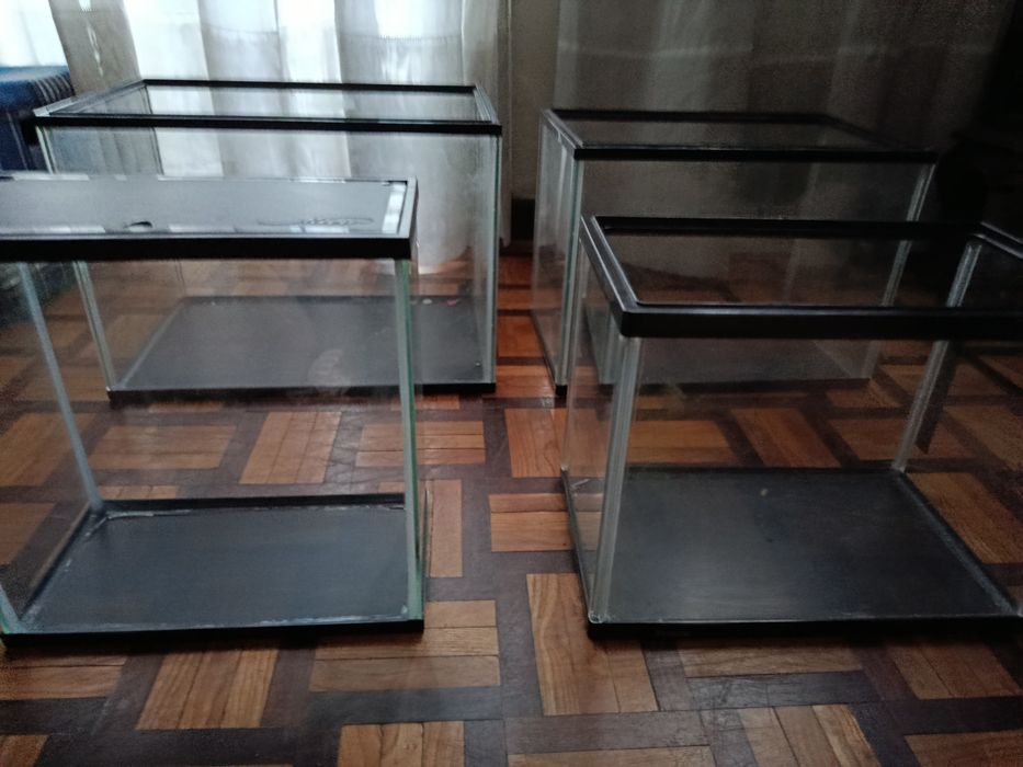 Vários aquários de vários tamanhos