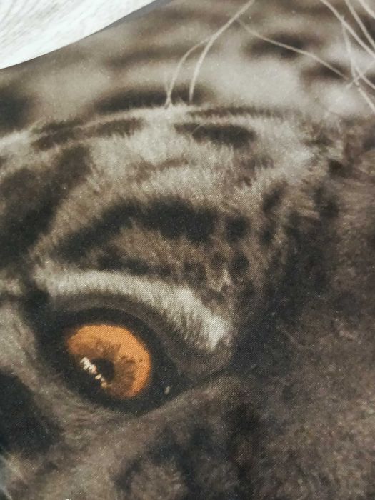 sukienka animal print pantera zwierzę kot