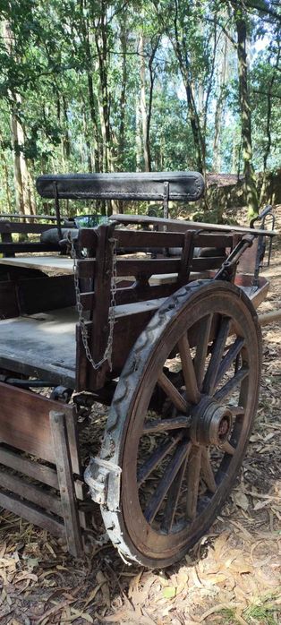 Charrete de duas rodas