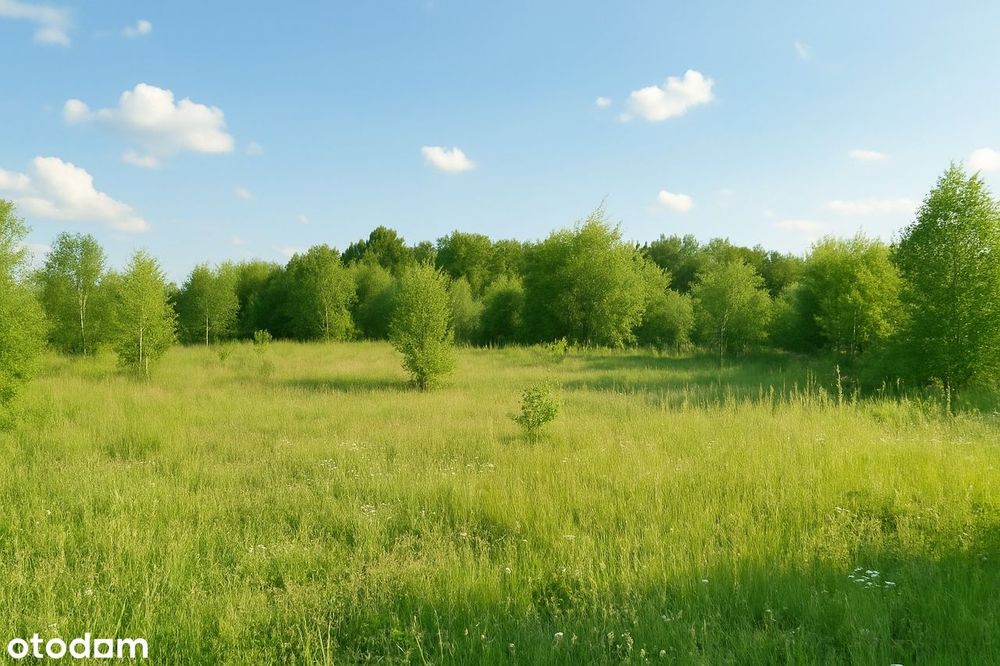Działki nad jeziorem w malowniczym Garczu na Kaszubach