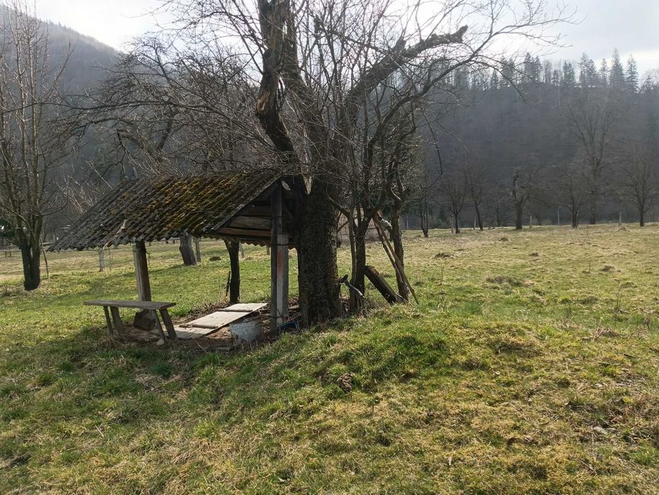 Земельна ділянка