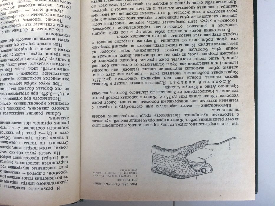 Биология (учебное пособие 1985г.)