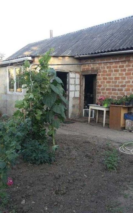 Продається будинок в Щербанях