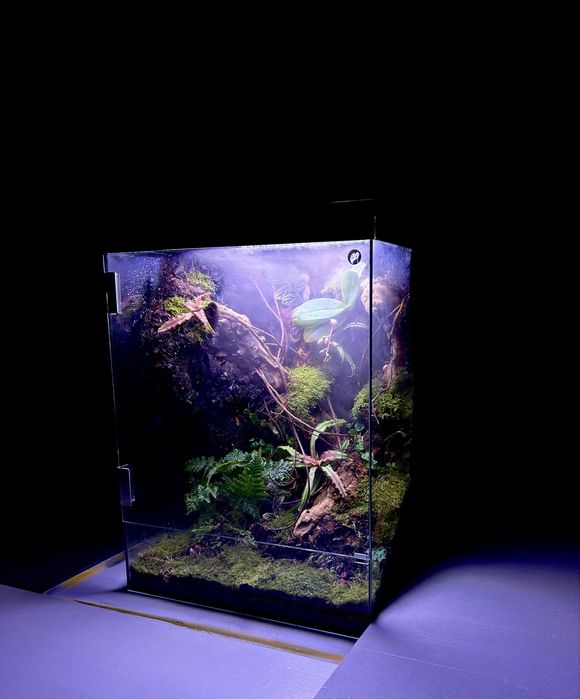 Тераріум на замовлення ( для еублефара, паука,бананоїда,агами,тощо)