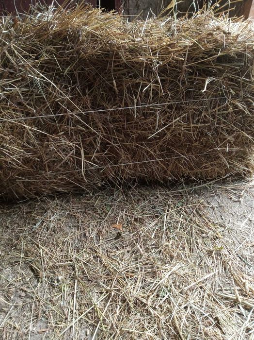Продам сіно в тюках