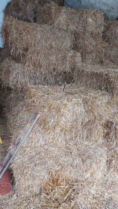 Vende-se feno fardos pequenos