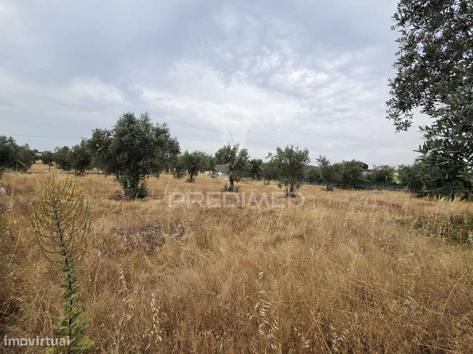 Lote de Terreno