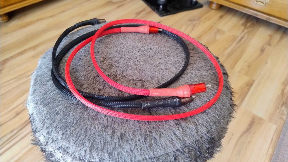 Chord Chorus 2 rca 2x1 m