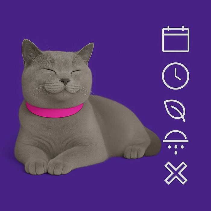 Obroża Dla Kota Uspokajająca Feromonowa Antystresowa 38 Cm Różowa