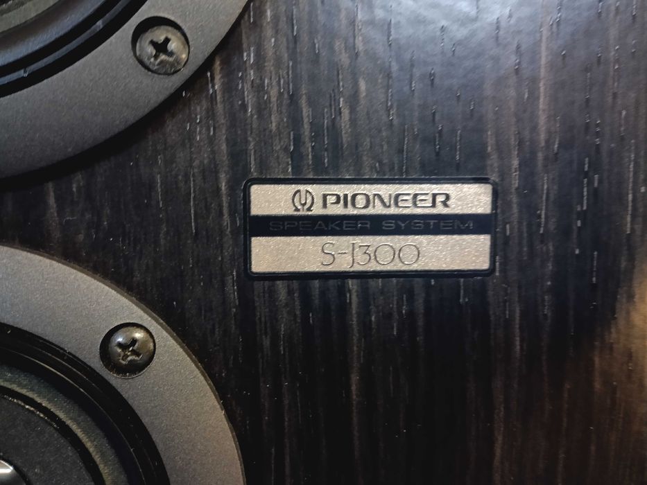 colunas PIONEER S-J300