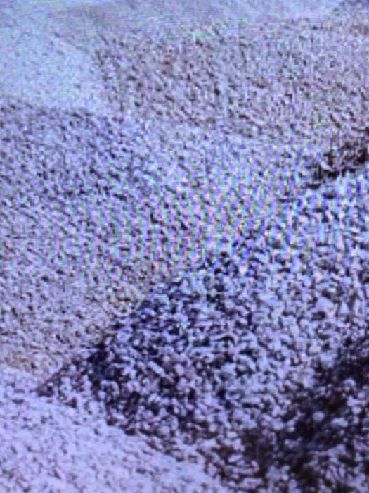 Щебень.  Песок. Бетон. Отсев.