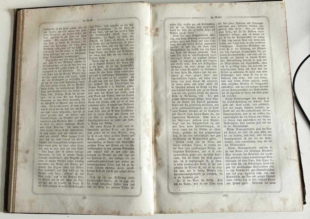 Das Leben im Wasser und das Aquarium G. Jäger 1868 Akwarystyka Ryby