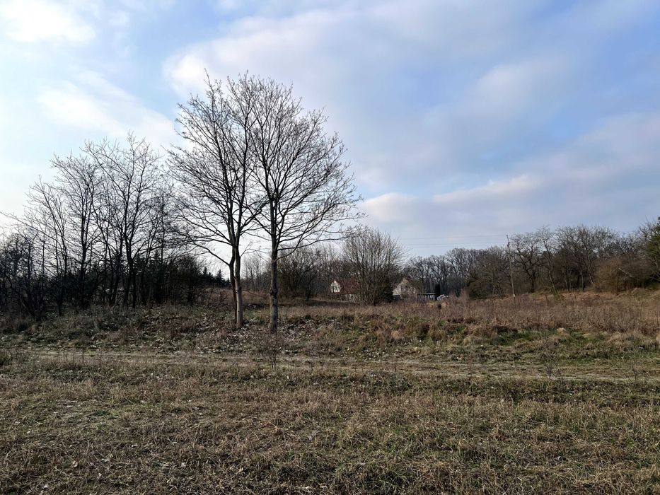 Działka na sprzedaż Drzeniów 87/1   3678 m²  gm. Cybinka