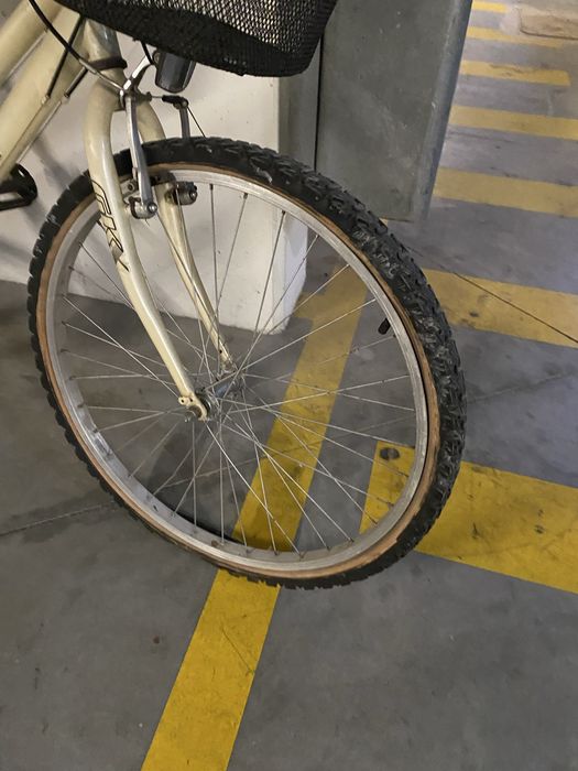 Bicicleta pasteleira