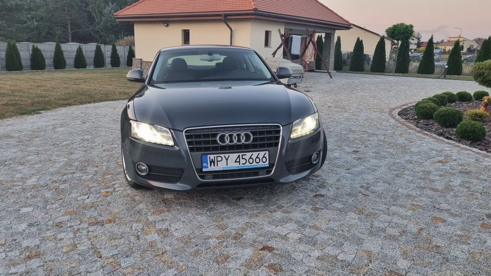 Sprowadzony .Stan bardzo dobry.