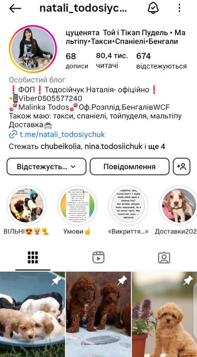 У нас великий вибір мальтіпу