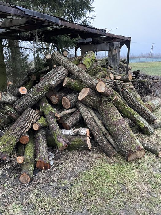 Продаж , доставка Дорова тверда та м’яка порода