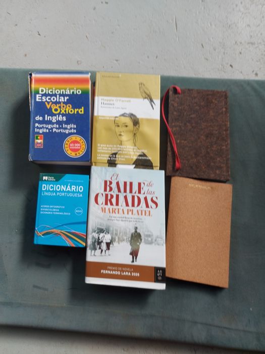 2 livros em espanhol  2 dicionários e 2  blocos de apontamentos