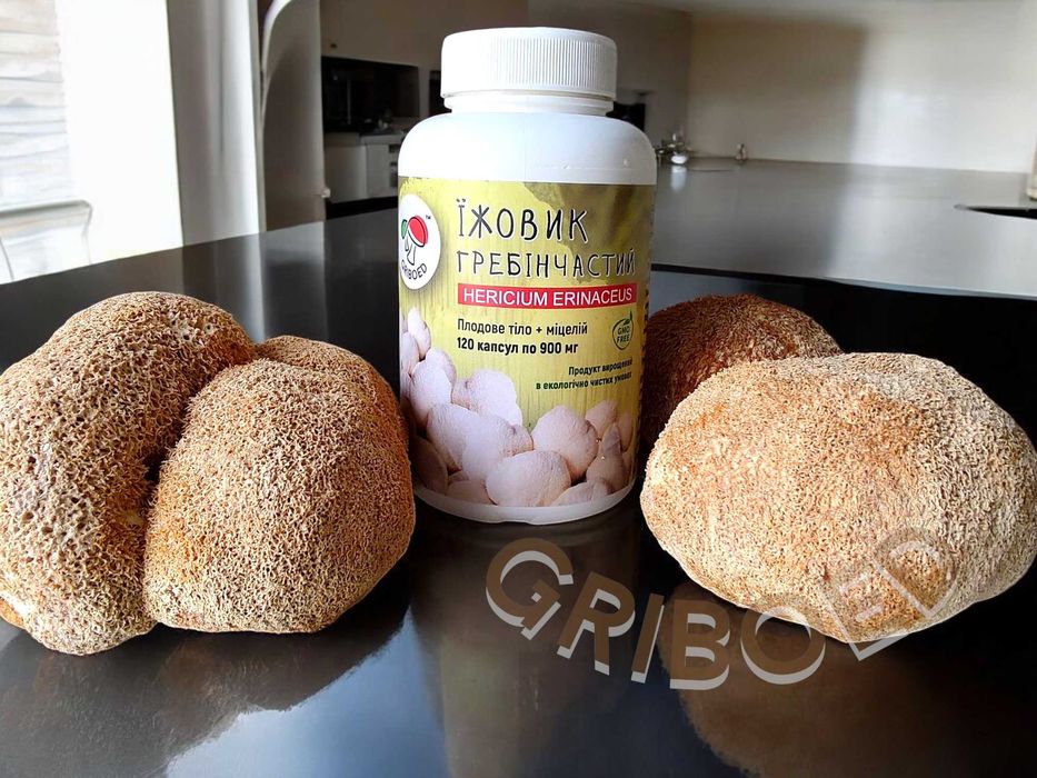 240 капсул (2 банки) ЕЖЕВИКА ГРЕБЕНЧАТОГО - двухмесячный курс!