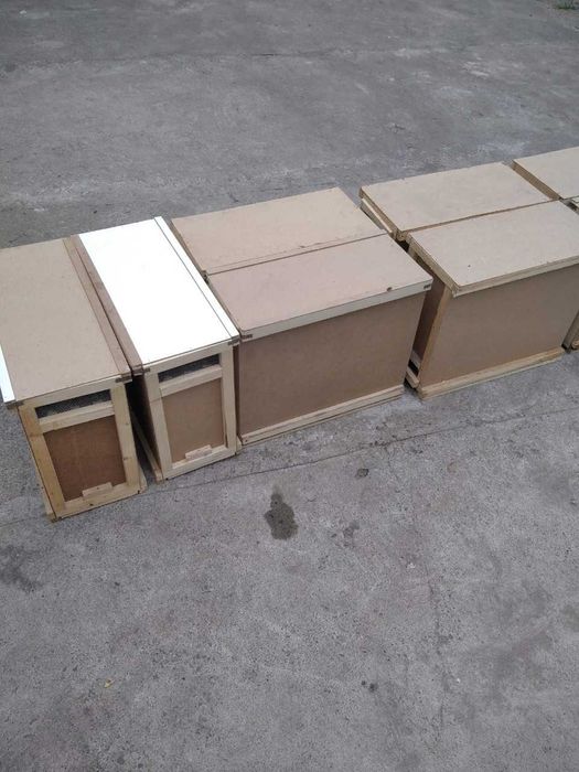 Бджолопакети карпатка