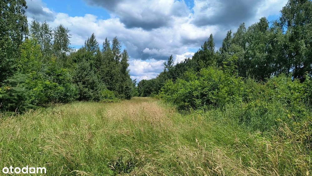 Sprzedam podzieloną działkę w Jedlińsku - Widok 6