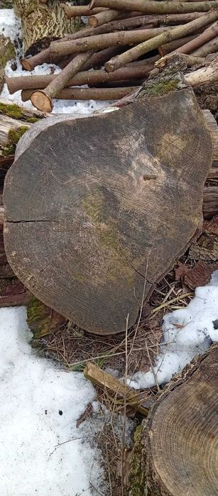 Sprzedam krążki jesionowe