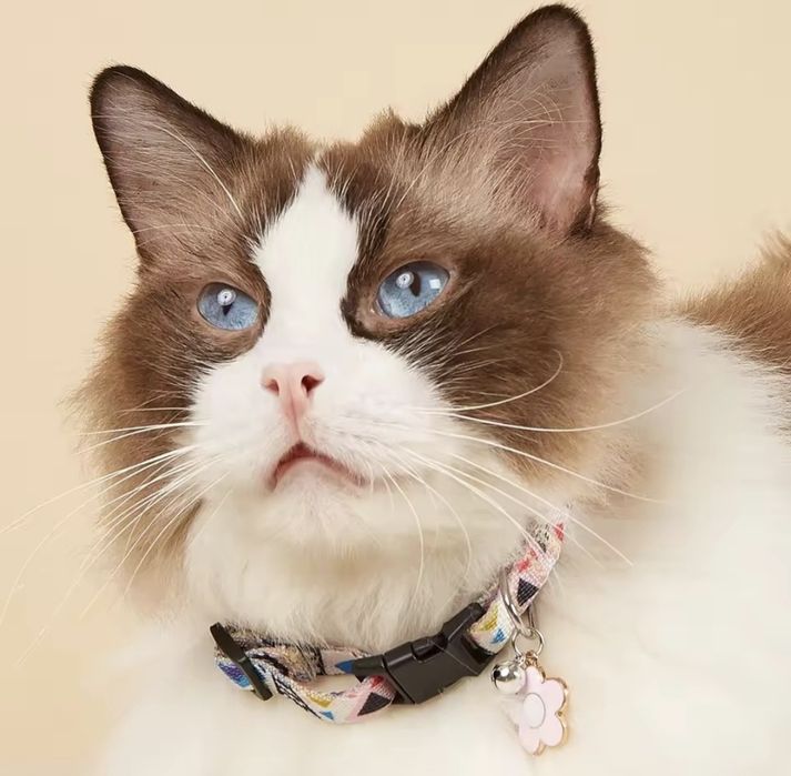 Нашийник для котів