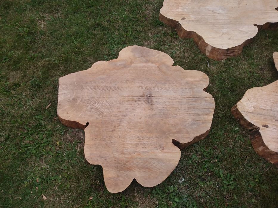 Plastry drzewa na stolik