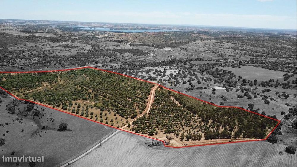 Propriedade no Alentejo com Grande Potencial Turístico e Agrícola pert