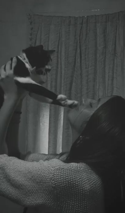ADOÇÃO RESPONSÁVEL – Gata, 3 anos