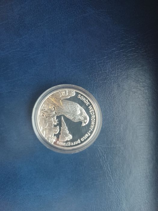 Moneta srebrna 20 zł Sokół wędrowny 2008 NBP