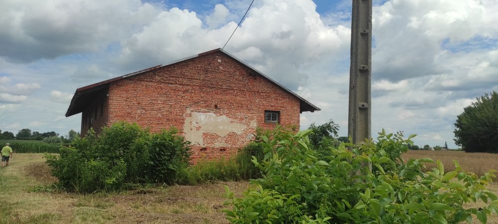 Działka ok. 1 ha z magazynem – Jakubowice, gm. Ożarów - Więcej