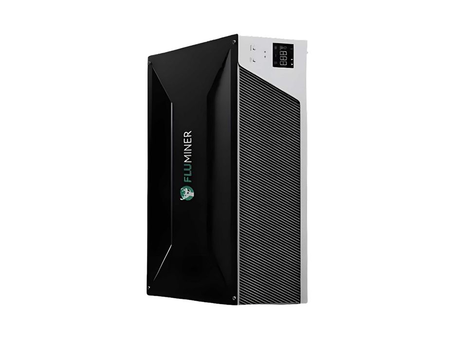 Fluminer L1 Pro 6 GH/s У РОЗСТРОЧКУ