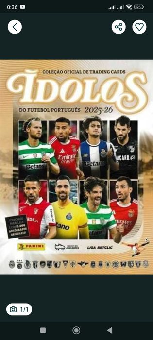 Caderneta completa ídolos e troca /venda de repetidos