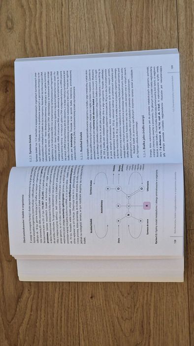 Fizjologia żywienia – Hanna Krauss (red.) – PZWL