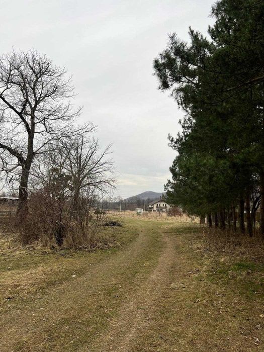 Продам земельну ділянку неподалік Крехівського Монастиря.