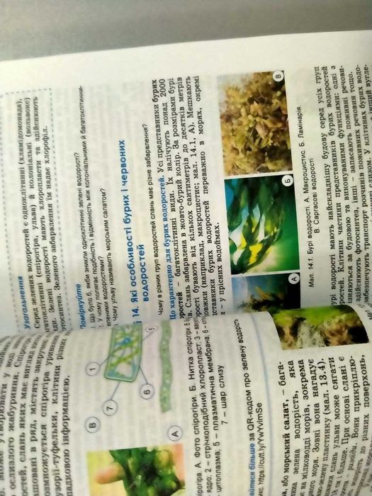 Біологія, 7 клас, Балан П.