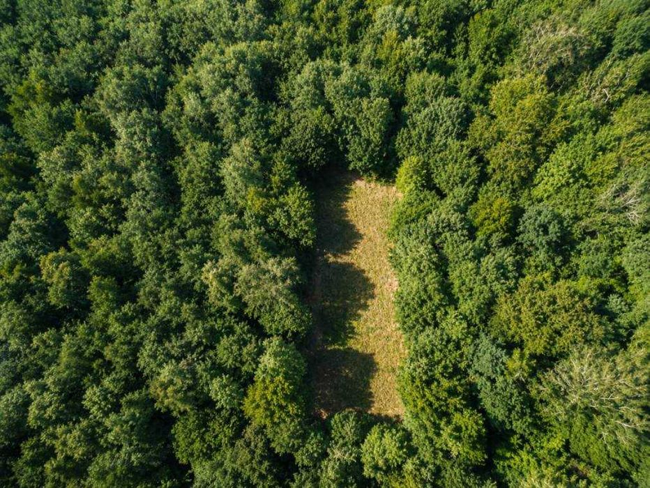 Продається земельна ділянка в с. Липники. Загальна площа 10 сотих.
