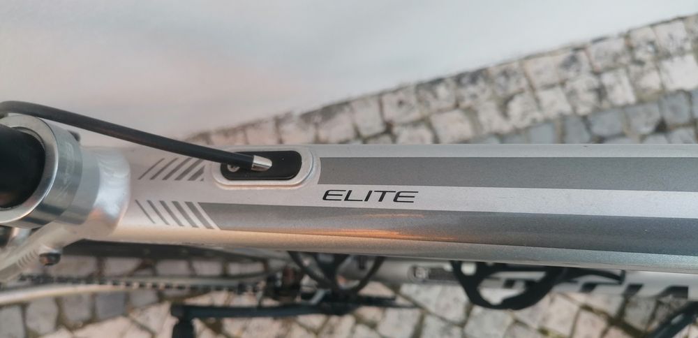 Specialized Secteur Elite