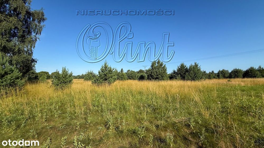 Teren gotowy na inwestycję - Widok 4
