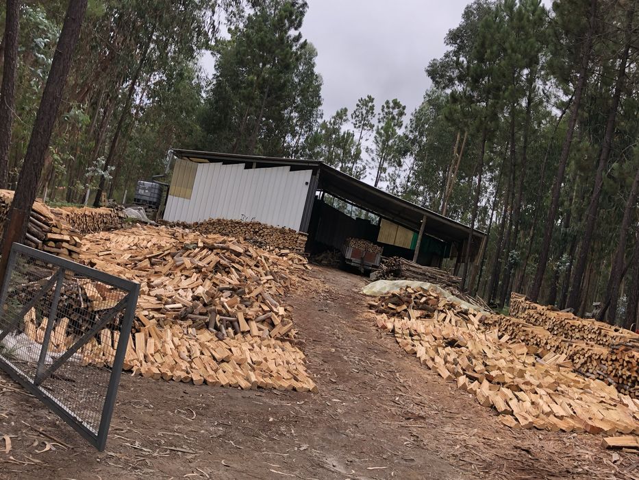 Lenha seca de varios tamanhos
