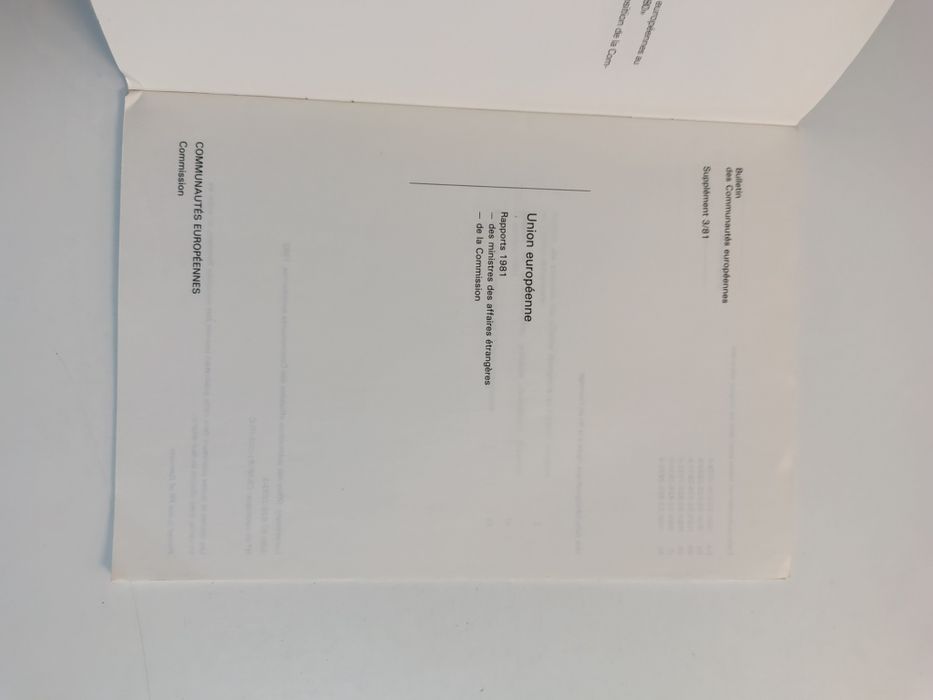 Union Européenne: Rapports Annuels 1981