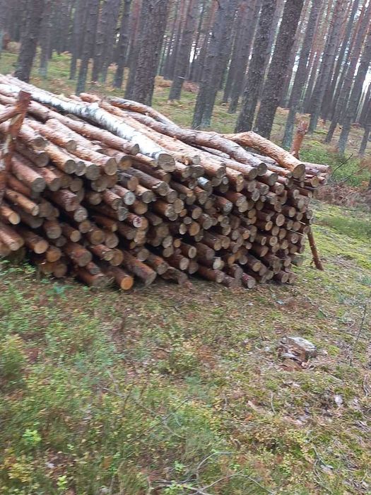 Drewno opałowe i kominkowe