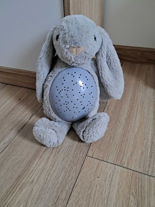 Królik Bing plus gratis